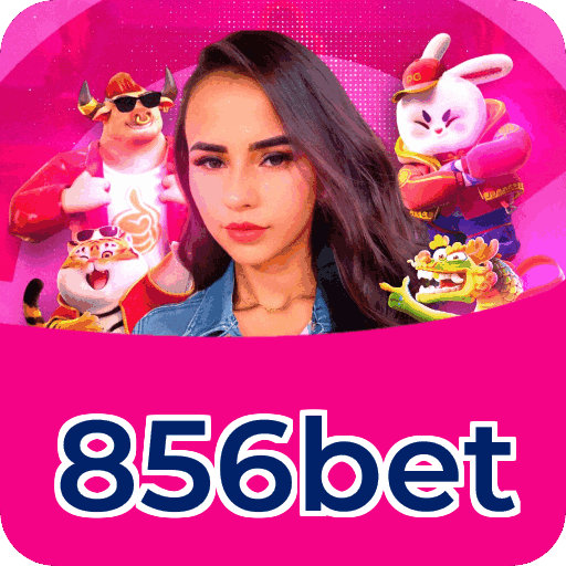 Segurança 856bet